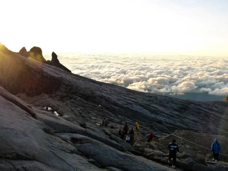 Refurbished Dyson Vacuum #3077