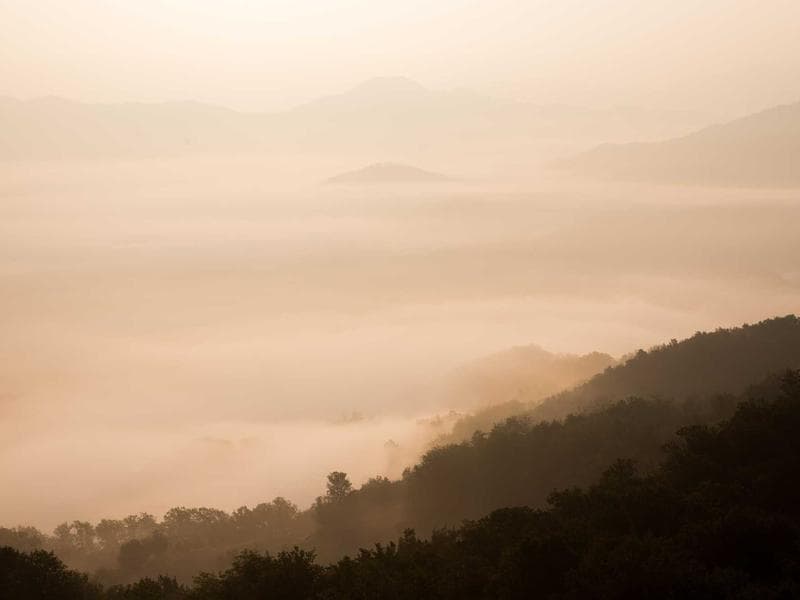 Elegant Hostel Room #3105