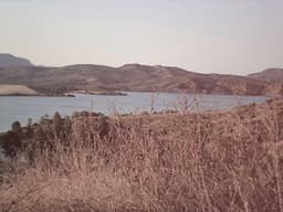 Luxury PlayStation 5 Console #3114 - image 2