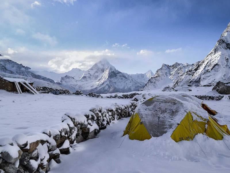 Stylish Dog Walking #3153