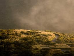 Budget Office Space 500sqft #3155 - image 3