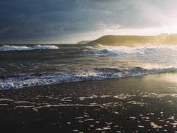 Spacious IKEA Shelving Unit #3163 - image 1