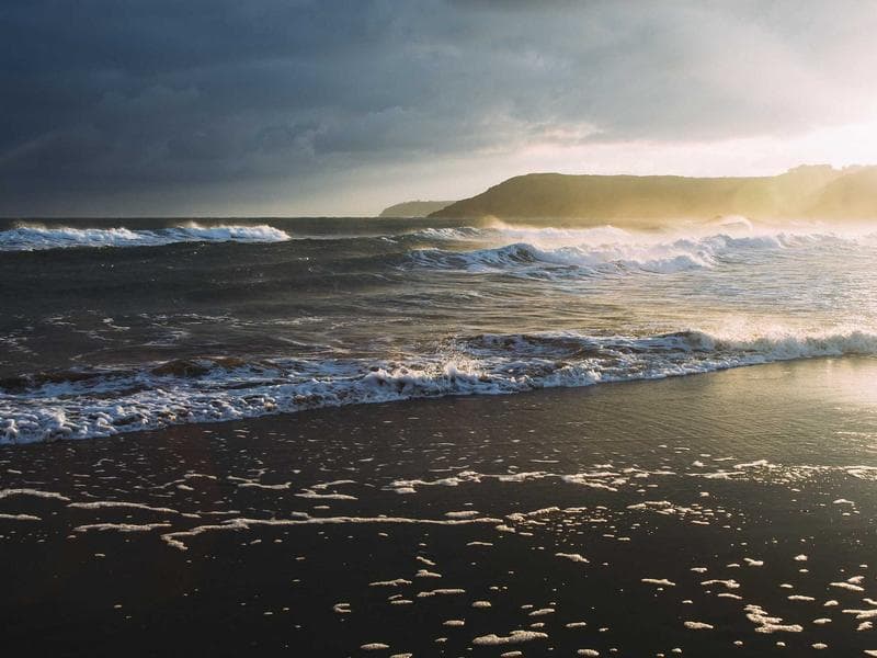 Spacious IKEA Shelving Unit #3163