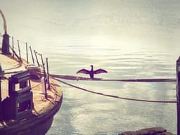 Quality Electric Scooter #3186 - image 2