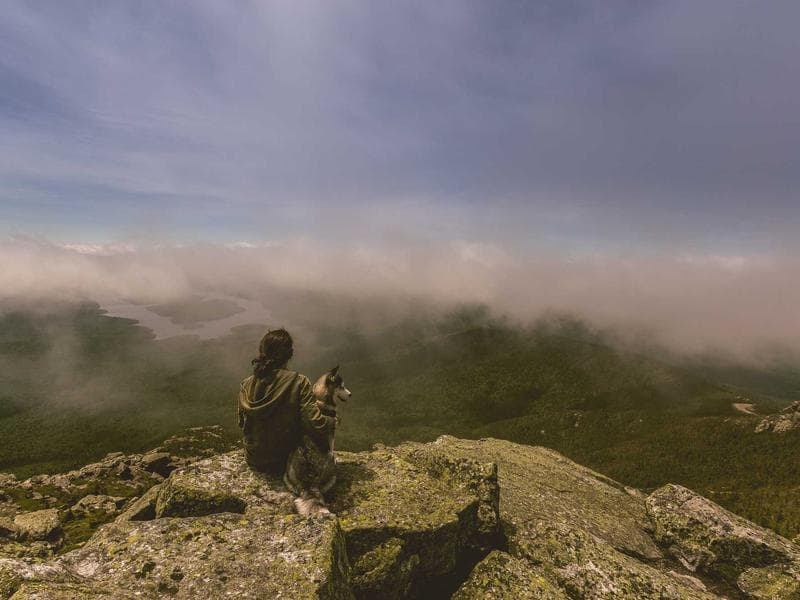 Original Product Manager #3226