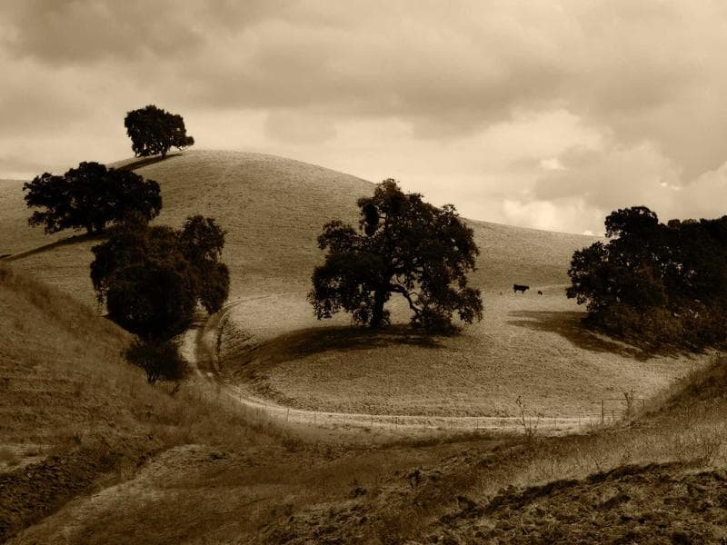 Reliable Product Manager #3231