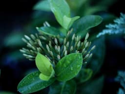 Budget Book Club Meetup #3242 - image 2