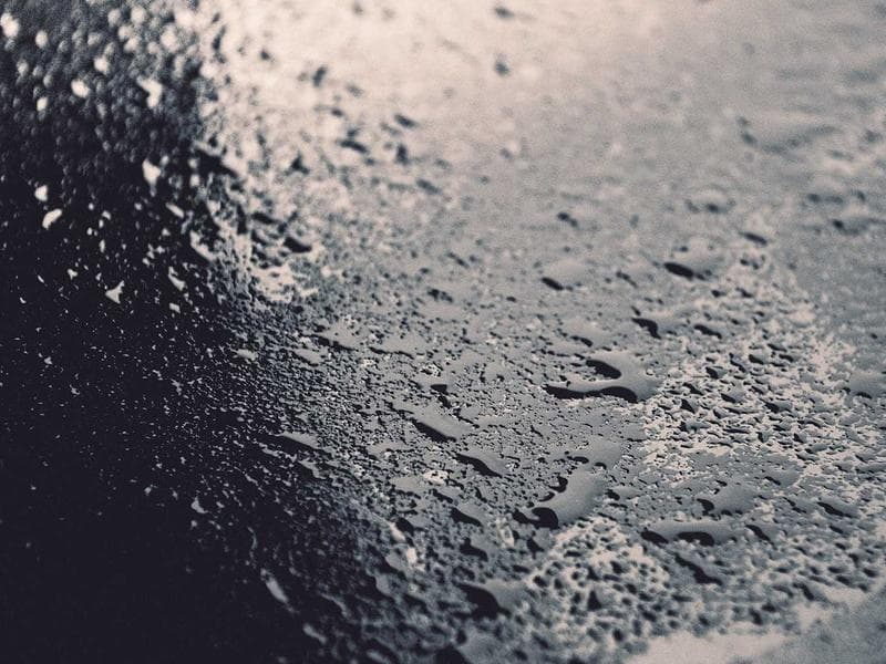 Quality Security Guard #3266