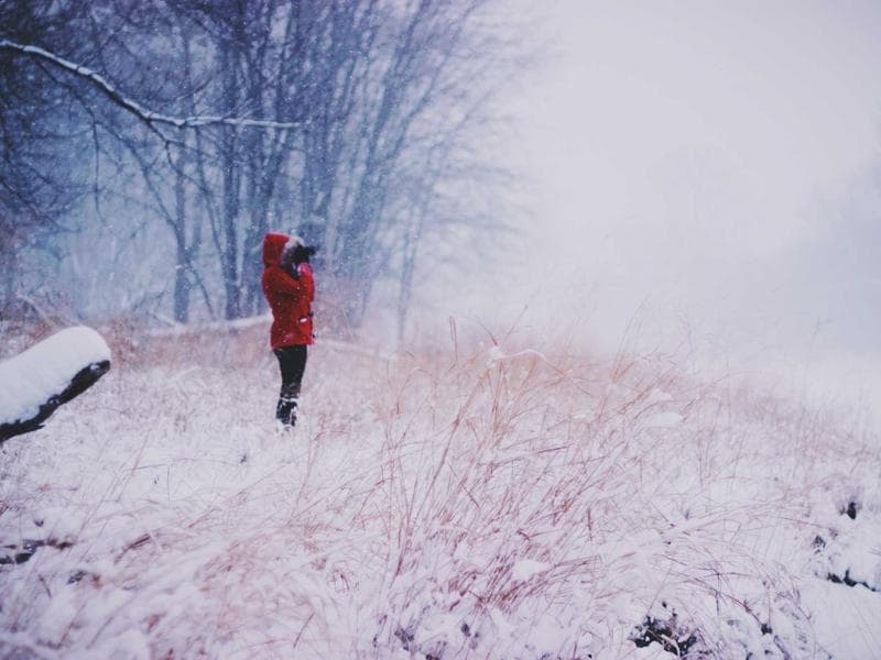 Top-Rated Free Yoga Class #3284