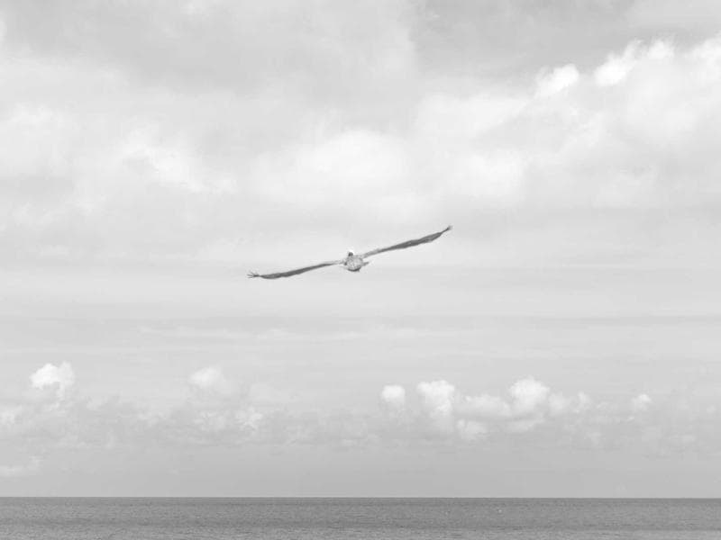 Vintage UI/UX Designer #3286