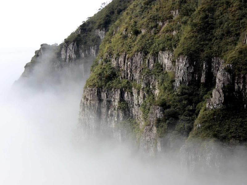 Classic Herman Miller Chair #3330