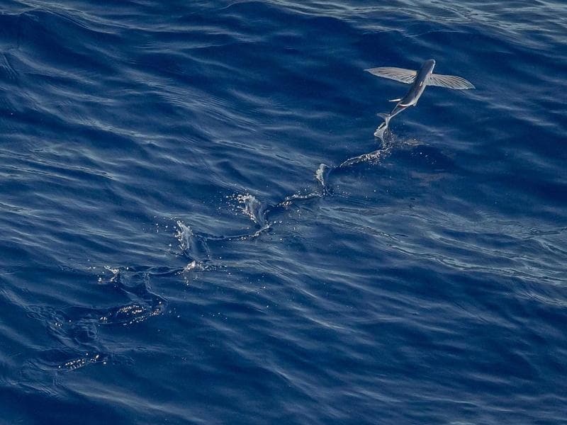 Entry-Level Plumbing #3340