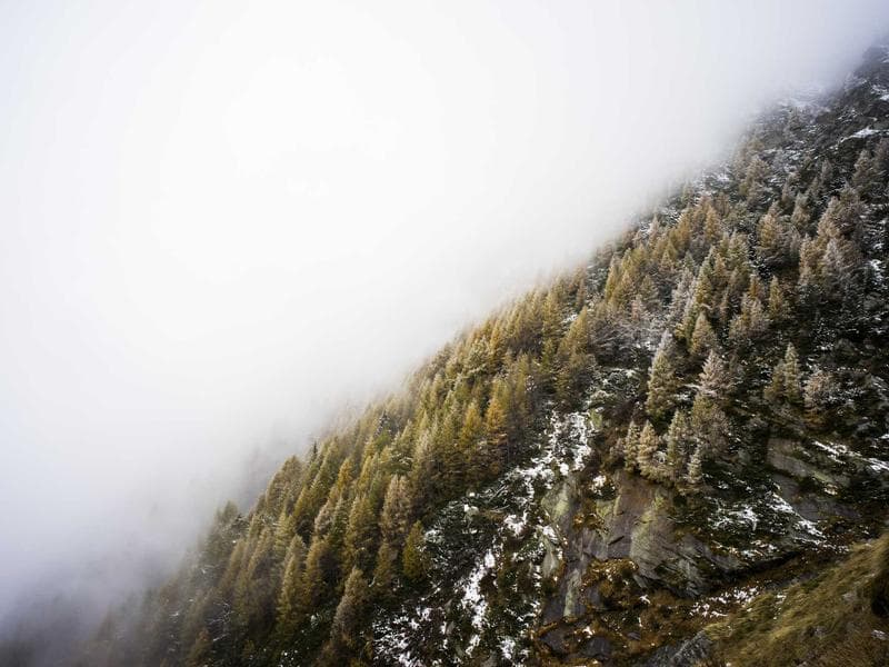 Co-working Desk — Monthly #346