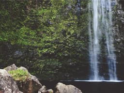 Villa — 4 Bedrooms with Garden #348 - image 1