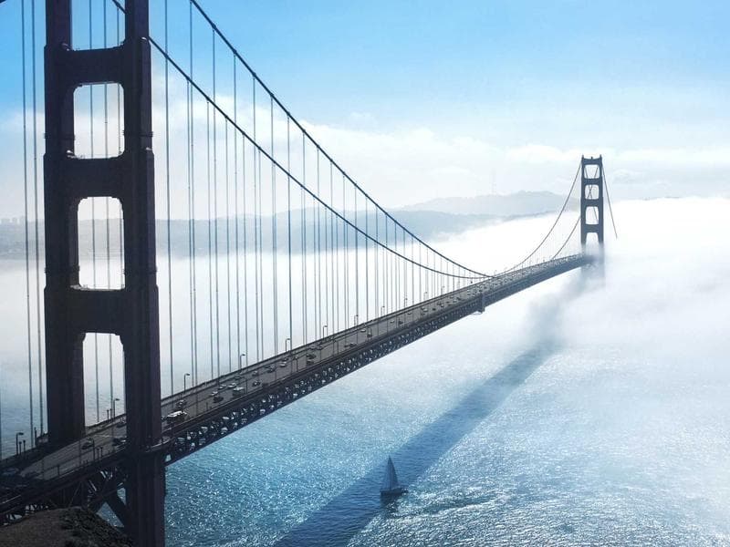 Senior Software Engineer — Remote #358