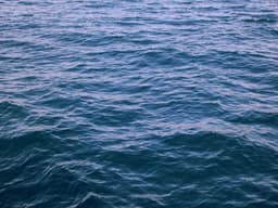 Photography — Events & Portraits #37 - image 2