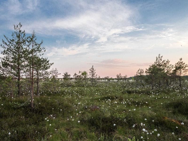 Marketing Manager — Full Time #363