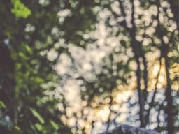 Catering — All Occasions #373 - image 1