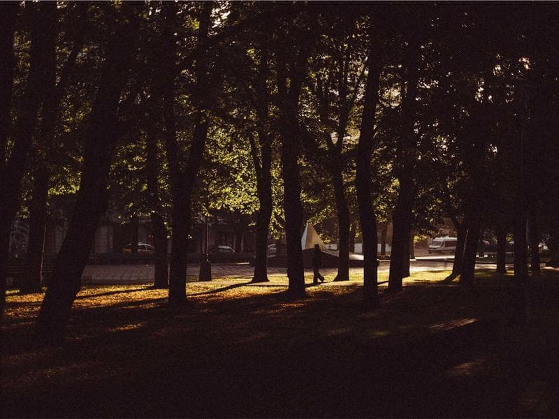 Weber Gas Grill — 3 Burner #375