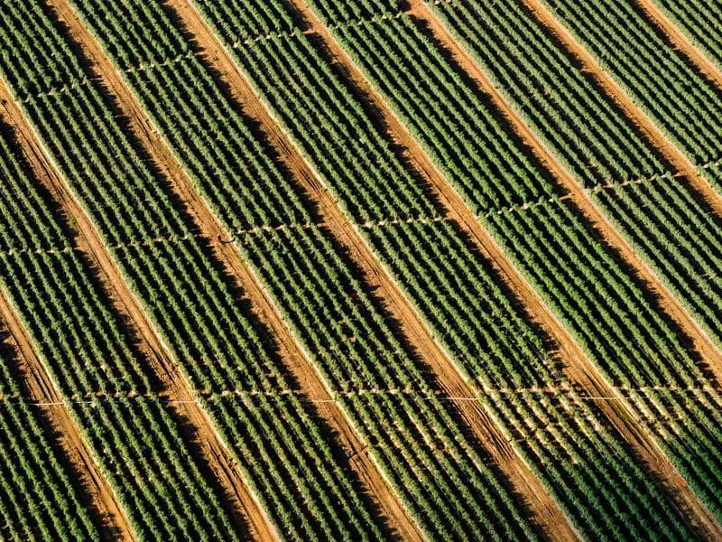 HR Coordinator — Full Time #384