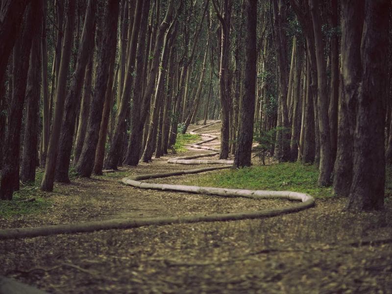 Need Help Moving — 2 Hours #385