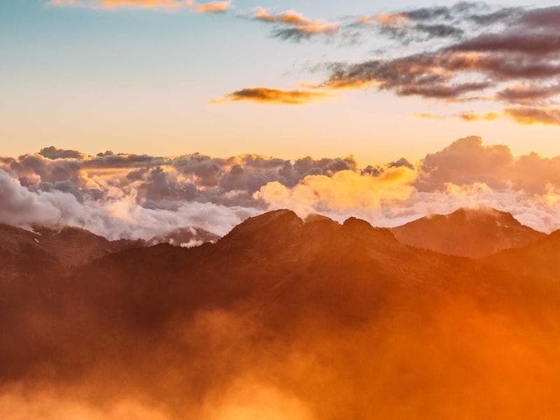 Driver — Full Time with License #387