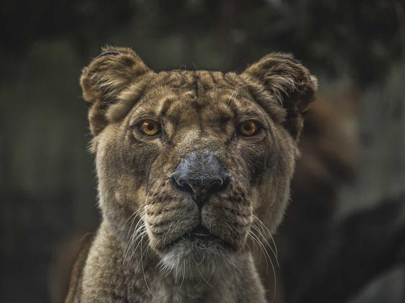 Running Group — 5K Training #394