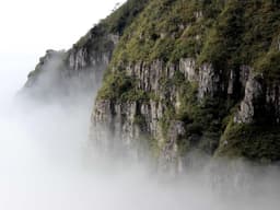 3BHK Flat for Rent — Gated Community #401 - image 2