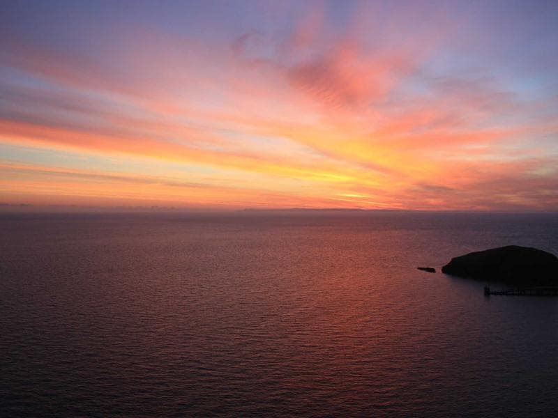 Samsung 65-inch OLED Smart TV #419