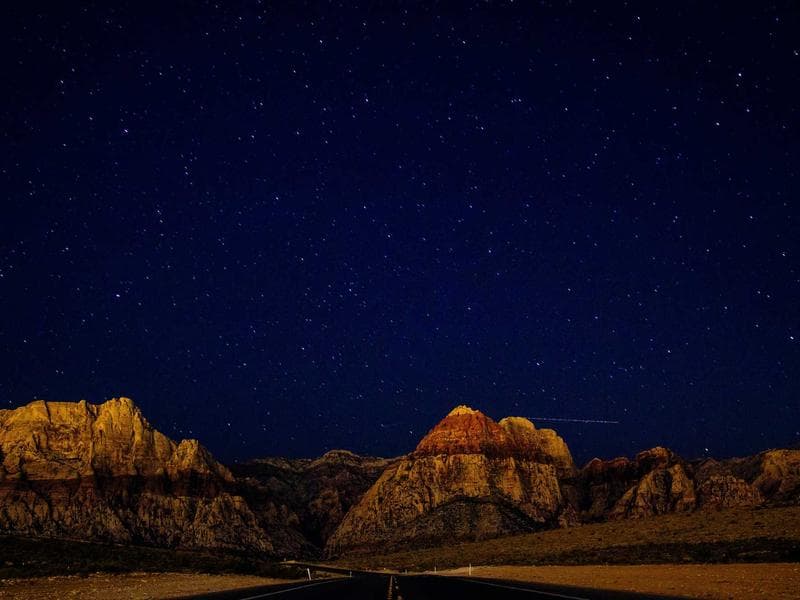 Web Development — Custom Websites #421