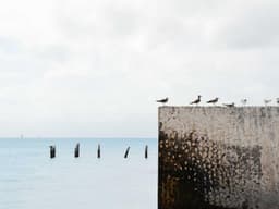 House Painting — 2 Rooms #425 - image 2