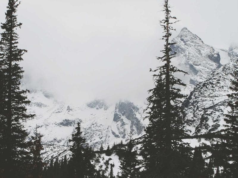 Moving Help — Local & Long Distance #428