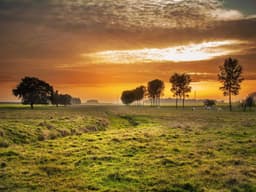 Interior Design Consultation #430 - image 3