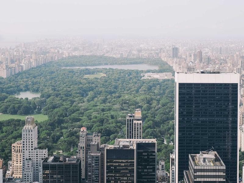 UI/UX Designer — Hybrid #436