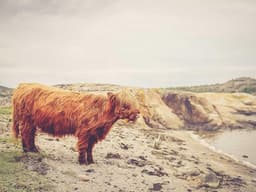 Teacher — Primary School #443 - image 1