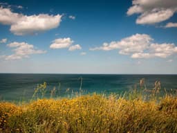 Event Photographer — This Saturday #444 - image 1