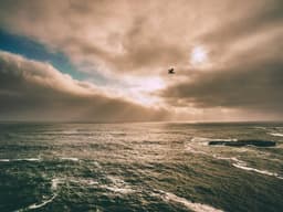 Baby Stroller — Bugaboo Fox 3 #445 - image 1