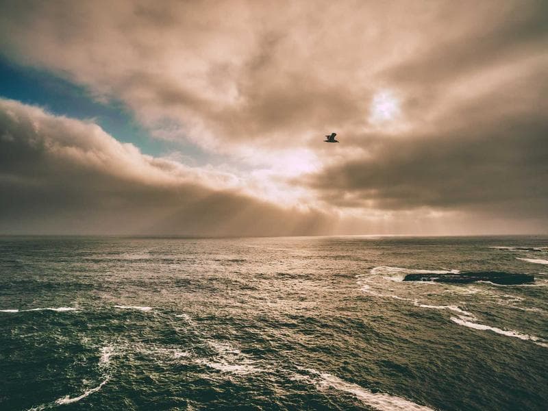 Baby Stroller — Bugaboo Fox 3 #445