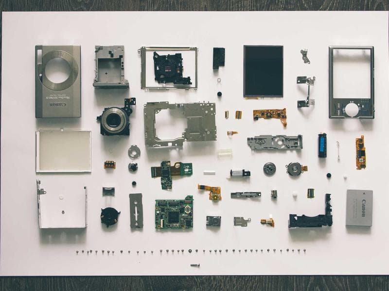 Dog Walking — Daily Service #447