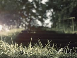 Volunteer Needed — Food Bank #457 - image 2