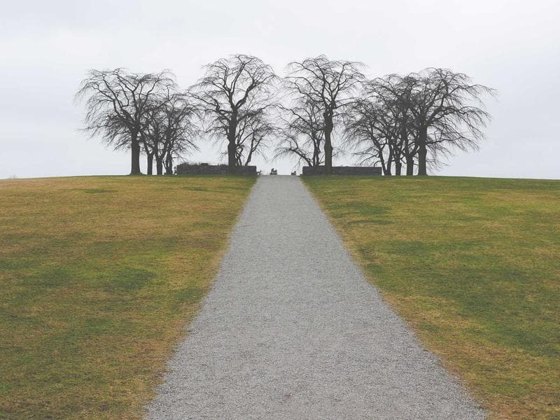 Vintage Leather Sofa — Italian Made #461