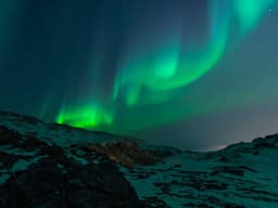 Community Garden — Plot Available #47 - image 2