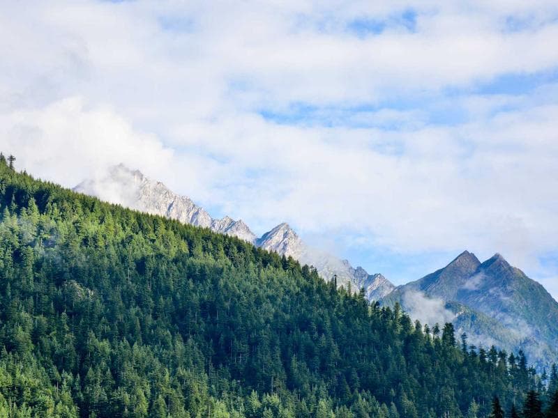 Gold Necklace — 22K, 15 grams #465