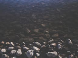 Moving Help — Local & Long Distance #490 - image 2