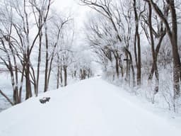 Data Entry — 500 Records #496 - image 2