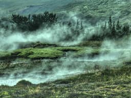 Weber Gas Grill — 3 Burner #30 - image 3