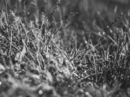 Yamaha Digital Piano — 88 Keys #74 - image 1