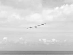 Bosch Washing Machine — Front Load #53 - image 2