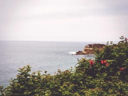 Need Help Moving — 2 Hours #122 - image 2