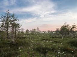 Need Help Moving — 2 Hours #122 - image 3